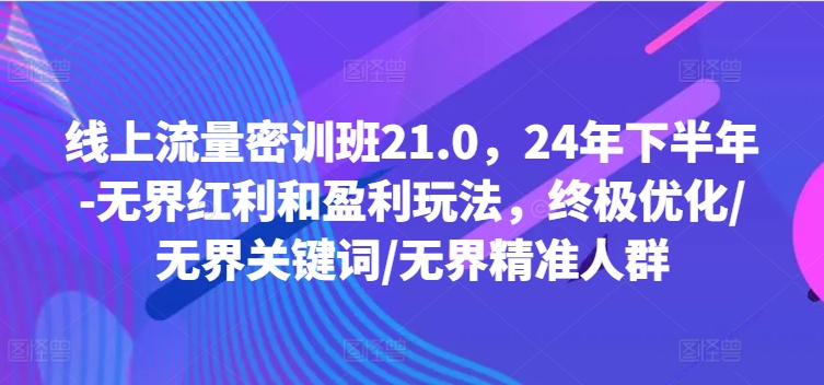 线上流量密训班21.0，24年下半年-无界红利和盈利玩法，终极优化/无界关键词/无界精准人群-博库