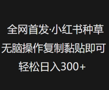 全网首发，小红书种草无脑操作，复制黏贴即可，轻松日入3张-博库