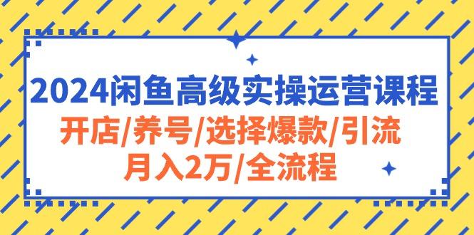 2024闲鱼高级实操运营课程：开店/养号/选择爆款/引流/月入2万/全流程-博库