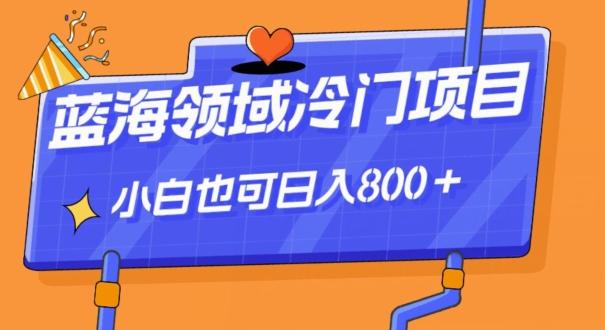 蓝海领域冷门赛道，一单39.9，日入800＋-博库