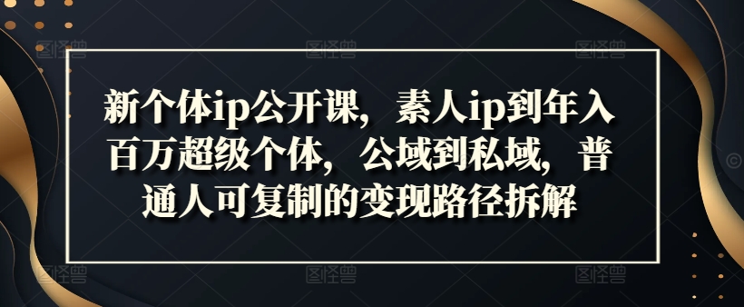 新个体ip公开课，素人ip到年入百万超级个体，公域到私域，普通人可复制的变现路径拆解-博库