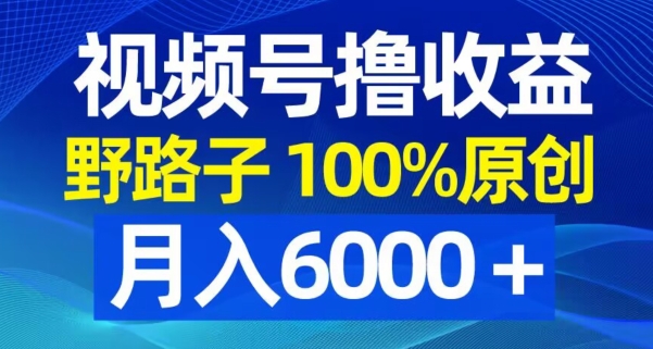 视频号野路子撸收益，100%原创，条条爆款，月入6000＋【揭秘】-博库