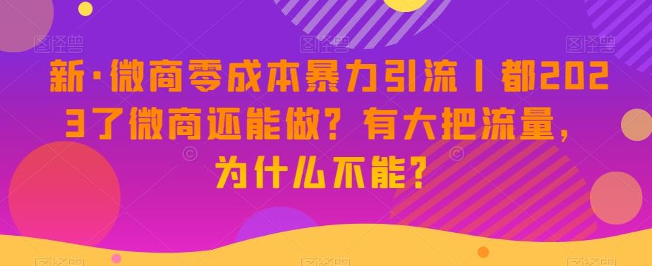 新·微商零成本暴力引流丨都2023了微商还能做？有大把流量，为什么不能？-博库