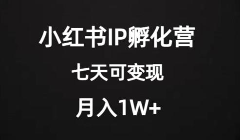 价值2000+的小红书IP孵化营项目，超级大蓝海，七天即可开始变现，稳定月入1W+-博库