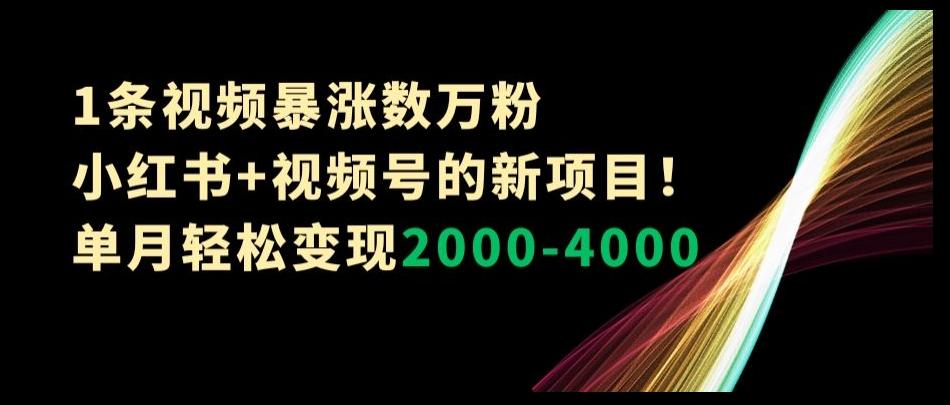 1条视频暴涨数万粉–小红书+视频号的新项目！单月轻松变现2000-4000【揭秘】-博库