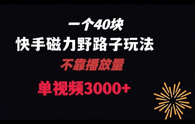 一个40块，快手联合美团磁力新玩法，无视机制野路子玩法，单视频收益4位数【揭秘】-博库