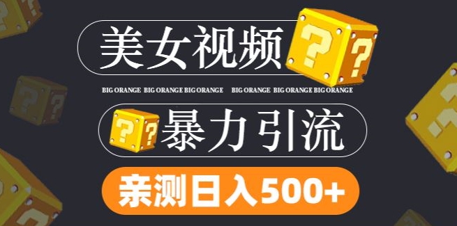 搬运tk美女视频全网分发，日引s粉300+，轻松变现，不限流量不封号【揭秘】-博库