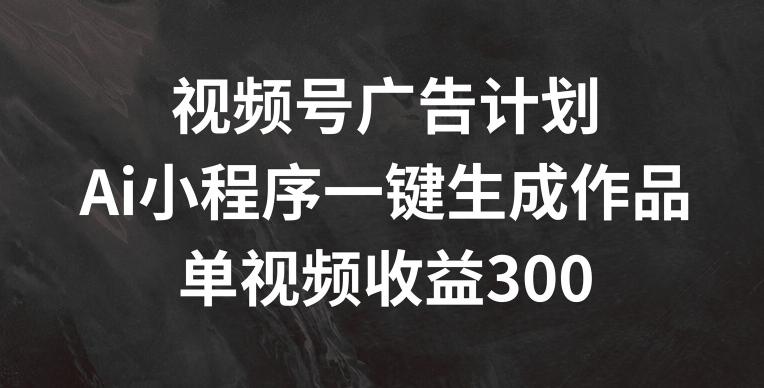 视频号广告计划，AI小程序一键生成作品， 单视频收益300+【揭秘】-博库