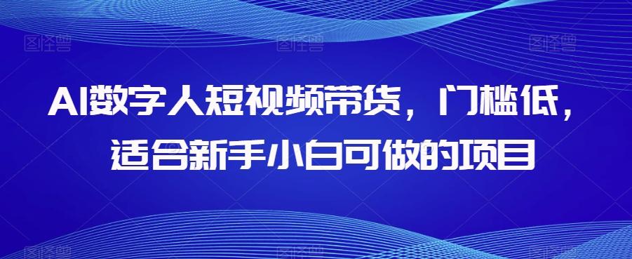 AI数字人短视频带货，门槛低，适合新手小白可做的项目-博库