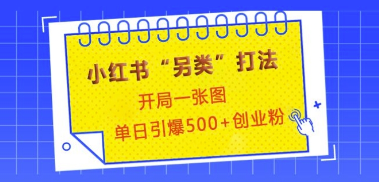 小红书“另类”打法，开局一张图，单日引爆500+精准创业粉【揭秘】-博库