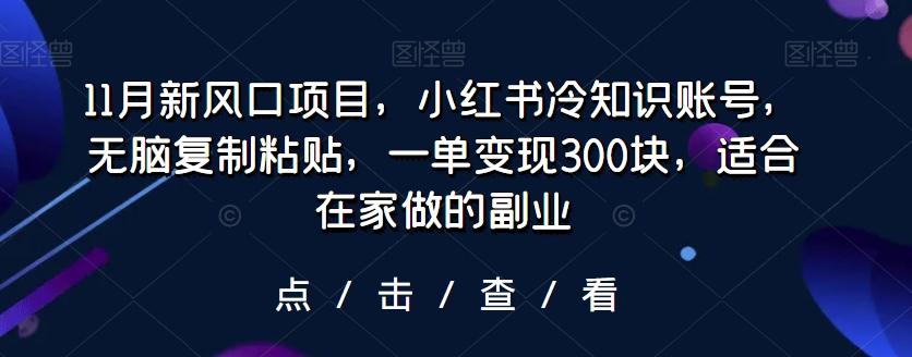 11月新风口项目，小红书冷知识账号，无脑复制粘贴，一单变现300块，适合在家做的副业-博库