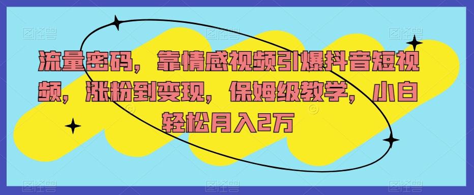 流量密码，靠情感视频引爆抖音短视频，涨粉到变现，保姆级教学，小白轻松月入2万【揭秘】-博库