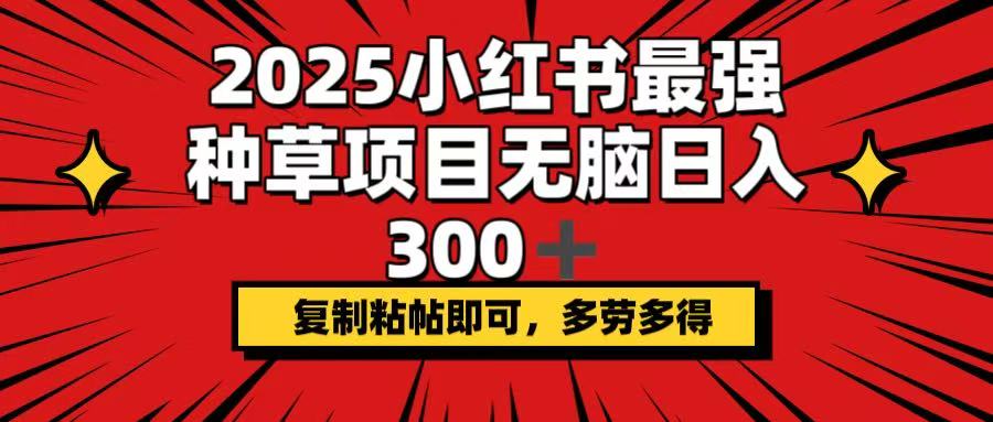 2025小红书最强种草项目，无脑日入300+，复制粘帖即可，多劳多得-博库