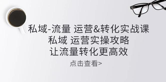 私域-流量 运营&转化实操课：私域 运营实操攻略 让流量转化更高效-博库