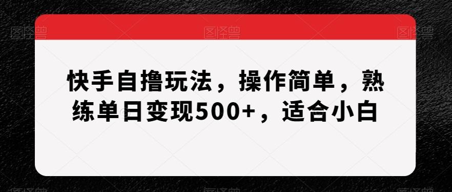 快手自撸玩法，操作简单，熟练单日变现500+，适合小白【揭秘】-博库