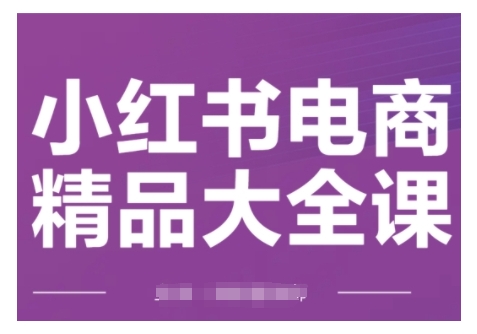 小红书电商精品大全课，快速掌握小红书运营技巧，实现精准引流与爆单目标，轻松玩转小红书电商(更新2月)-博库