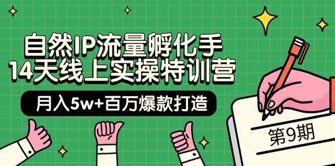 (9881期)自然IP流量孵化手 14天线上实操特训营【第9期】月入5w+百万爆款打造 (74节)-博库