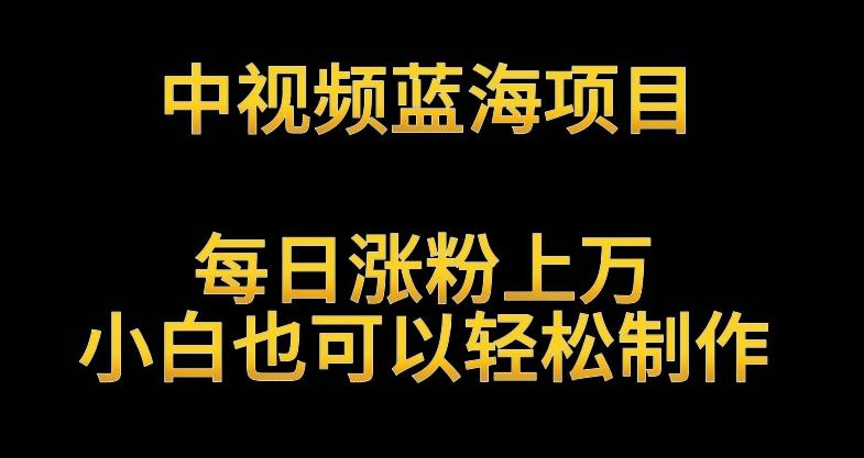 中视频蓝海项目，解读英雄人物生平，每日涨粉上万，小白也可以轻松制作，月入过万不是梦【揭秘】-博库