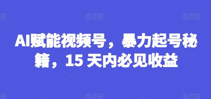 AI赋能视频号，暴力起号秘籍，15 天内必见收益【揭秘】-博库