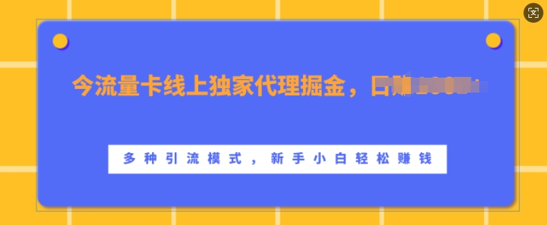 流量卡线上独家代理掘金，日入1k+ ，多种引流模式，新手小白轻松上手【揭秘】-博库