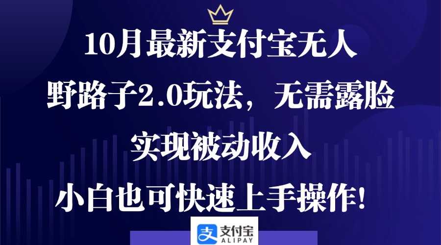 10月最新支付宝无人野路子2.0玩法，无需露脸，实现被动收入，小白也可…-博库