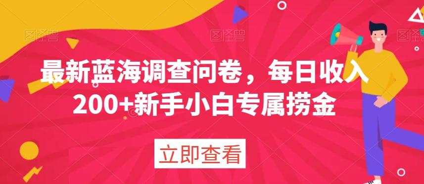 最新蓝海调查问卷，每日收入200+新手小白专属捞金-博库