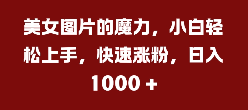 美女图片的魔力，小白轻松上手，快速涨粉，日入几张【揭秘】-博库