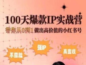 小红书100天爆款IP实战营，带你从0到1做出高价值的小红书号-博库