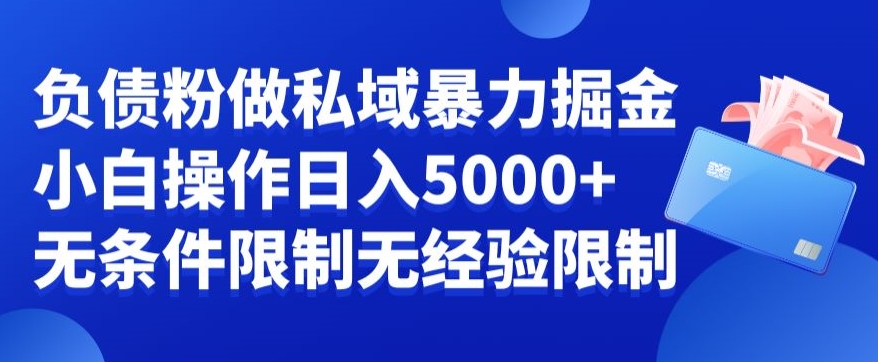 负债粉私域暴力掘金，小白操作入5000，无经验限制，无条件限制【揭秘】-博库