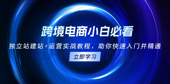 跨境电商小白必看！独立站建站+运营实战教程，助你快速入门并精通-博库