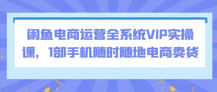 闲鱼电商运营全系统VIP实操课，1部手机随时随地电商卖货-博库