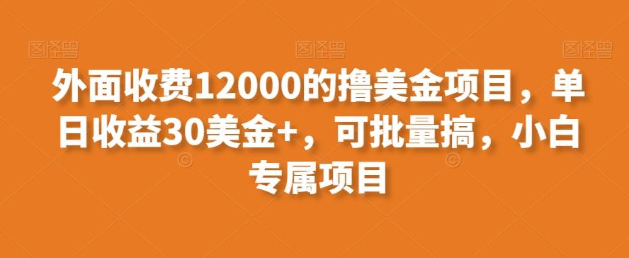 外面收费12000的撸美金项目，单日收益30美金+，可批量搞，小白专属项目-博库