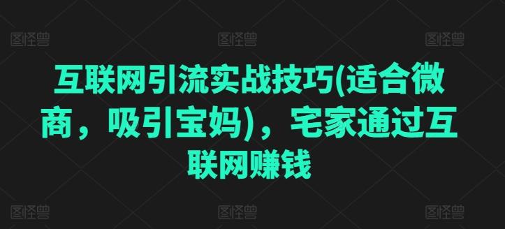 互联网引流实战技巧(适合微商，吸引宝妈)，宅家通过互联网赚钱-博库