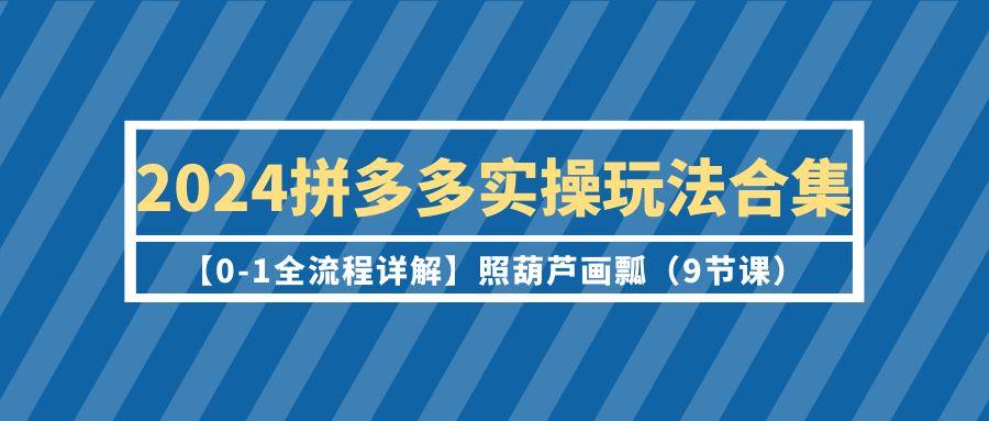 (9559期)2024拼多多实操玩法合集【0-1全流程详解】照葫芦画瓢(9节课)-博库