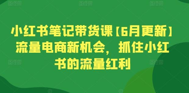 小红书笔记带货课【6月更新】流量电商新机会，抓住小红书的流量红利-博库