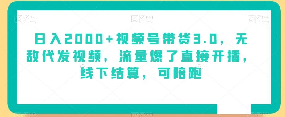 日入2000+视频号带货3.0，无敌代发视频，流量爆了直接开播，线下结算，可陪跑-博库