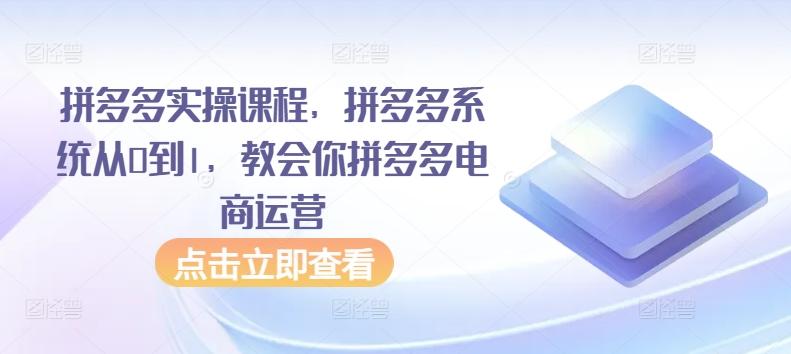 拼多多实操课程，拼多多系统从0到1，教会你拼多多电商运营-博库