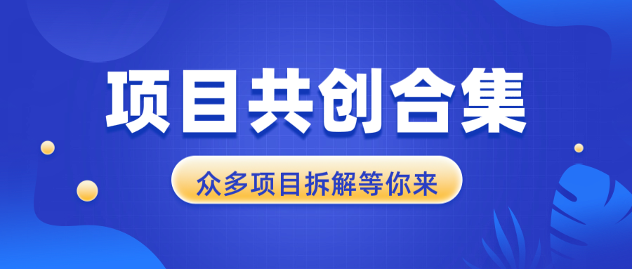 项目共创合集，从0-1全过程拆解，让你迅速找到适合自已的项目-博库