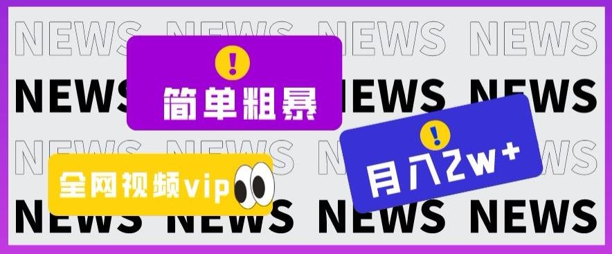 简单粗暴零成本，高回报，全网视频VIP掘金项目，月入2万＋【揭秘】-博库