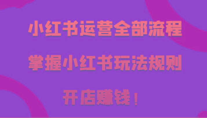 小红书运营全部流程，掌握小红书玩法规则，开店赚钱！-博库