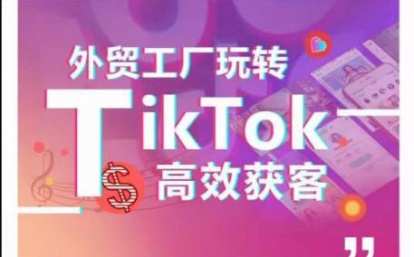 外贸工厂玩转TikTok高效获客，多种引流方式与账号定位技巧，拆解爆款短视频打造成功案例-博库