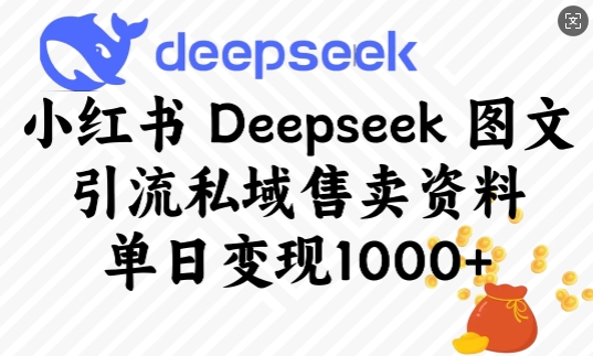 小红书Deepseek图文引流私域售卖资料，单日变现多张-博库