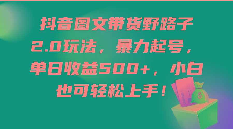 (9790期)抖音图文带货野路子2.0玩法，暴力起号，单日收益500+，小白也可轻松上手！-博库