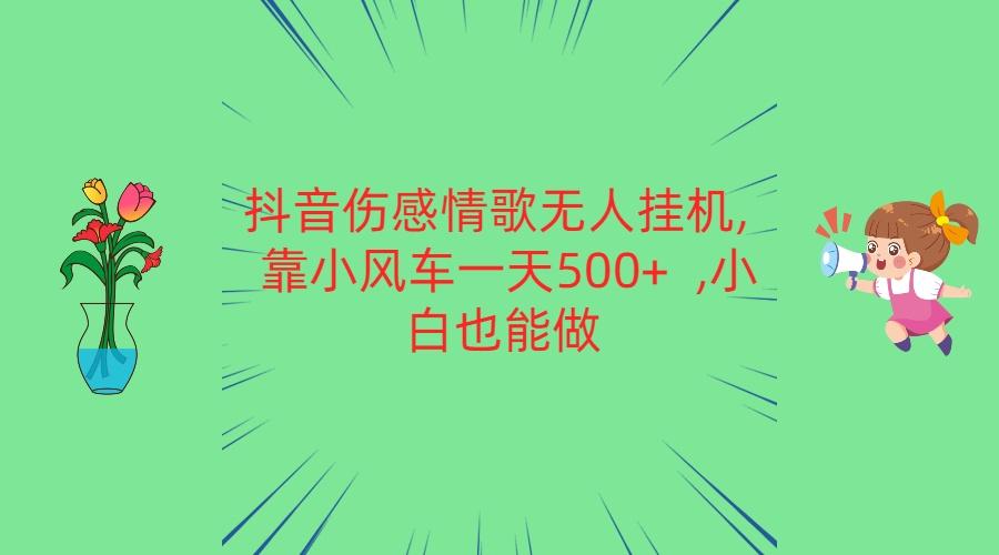 抖音伤感情歌无人挂机 靠小风车一天500+ 小白也能做-博库