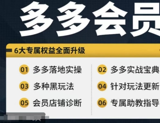 拼多多会员，拼多多实战宝典+实战落地实操，从新手到高阶内容全面覆盖-博库