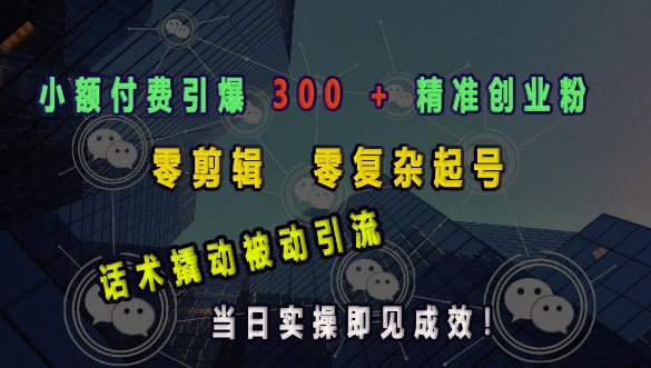 小额付费引爆 300 + 精准创业粉，零剪辑、零复杂起号，话术撬动被动引流，当日实操即见成效-博库