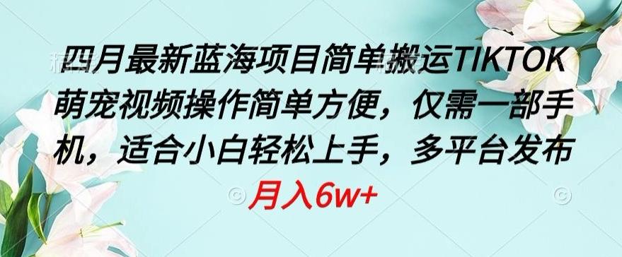 四月最新蓝海项目，简单搬运TIKTOK萌宠视频，操作简单方便，仅需一部手机【揭秘】-博库