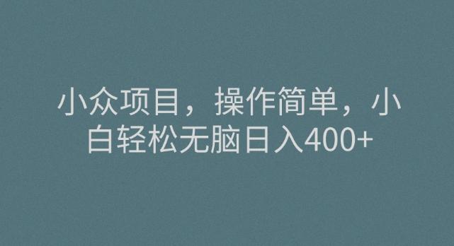 小众项目，操作简单，小白轻松无脑日入400+-博库