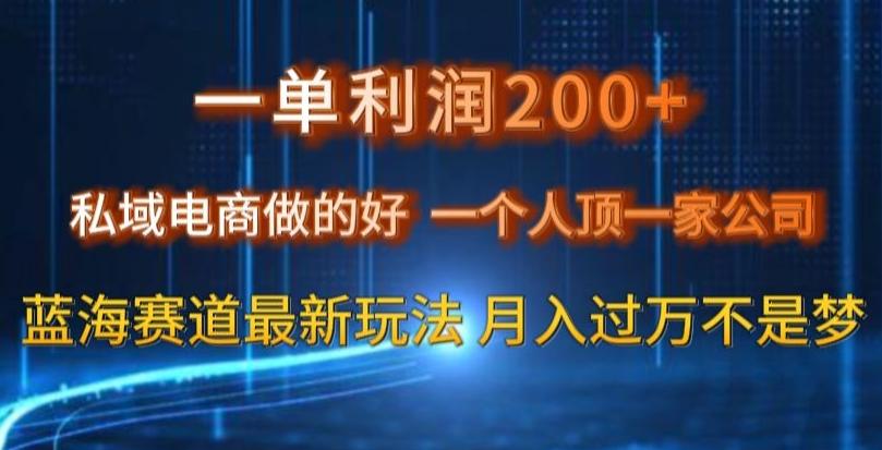 一单利润200私域电商做的好，一个人顶一家公司蓝海赛道最新玩法【揭秘】-博库