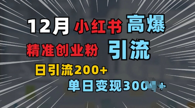 小红书一张图片“引爆”创业粉，单日+200+精准创业粉 可筛选付费意识创业粉【揭秘】-博库